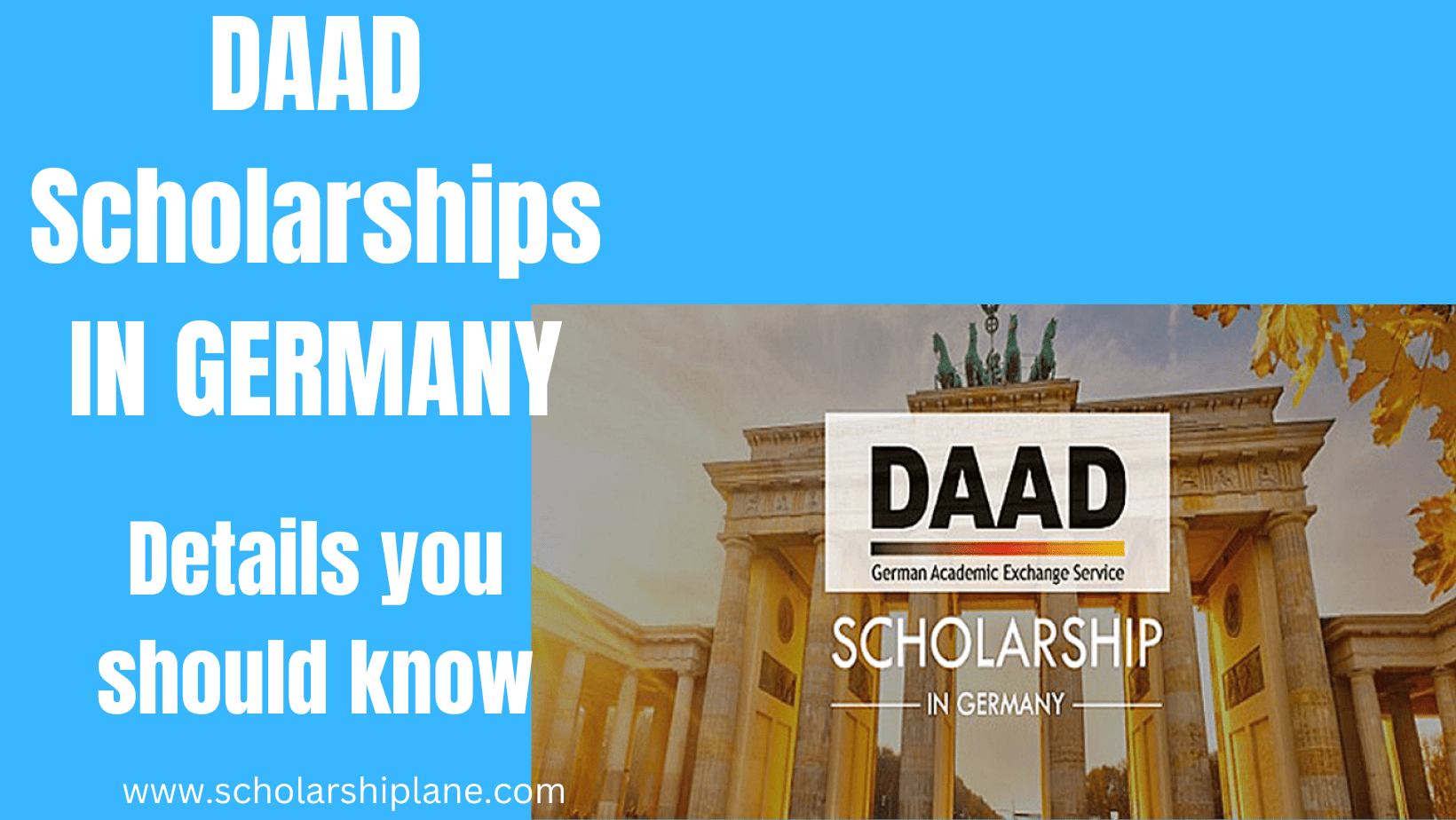 DAAD Scholarship in Germany