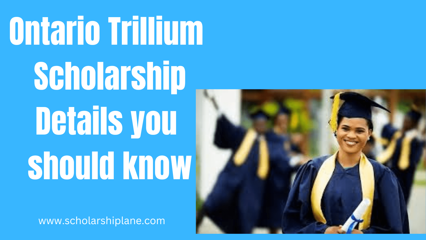 Ontario Trillium Scholarship Details you should know